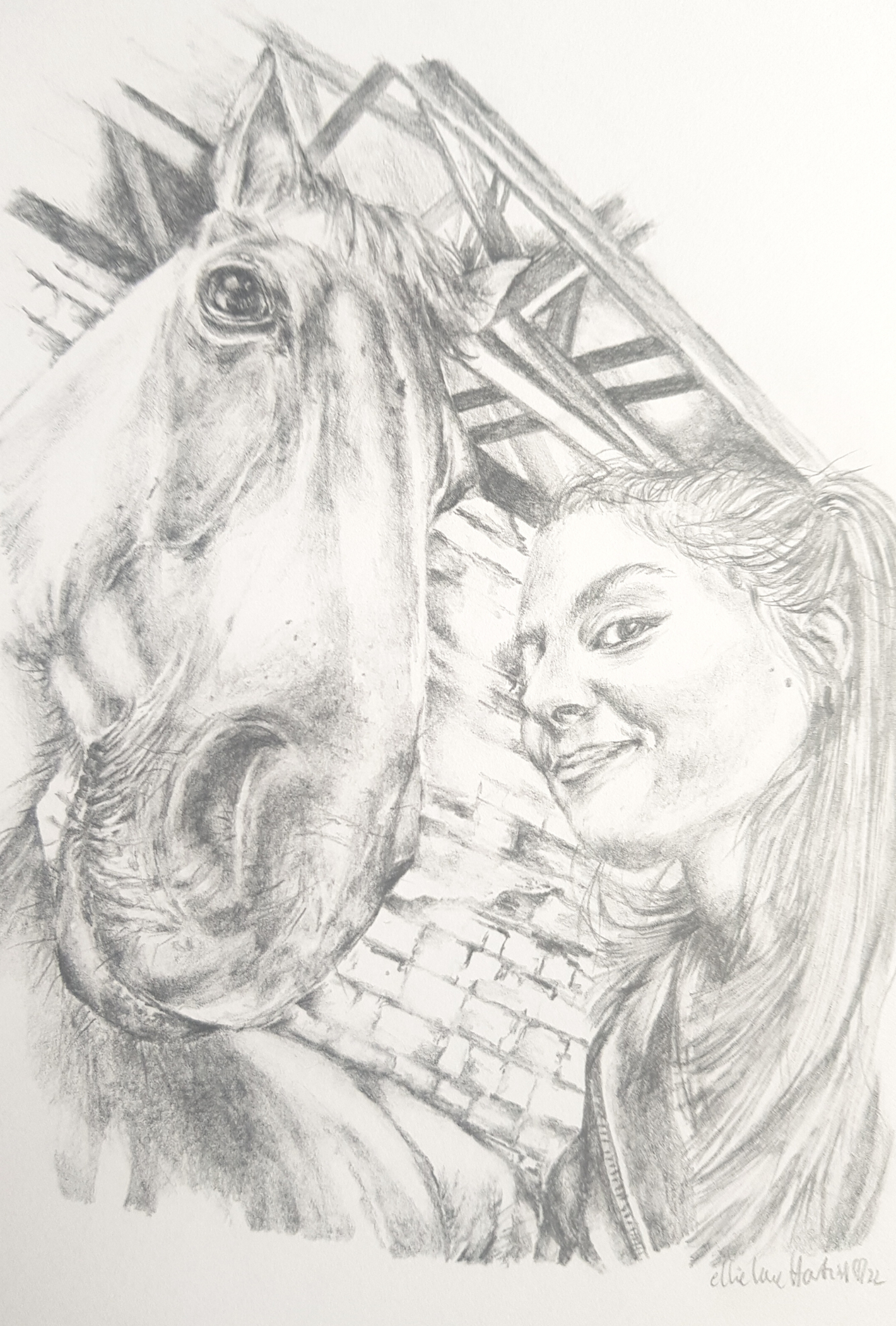 pencil portrait of horse and girl. gift art. 